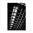 dailyPhoto6
